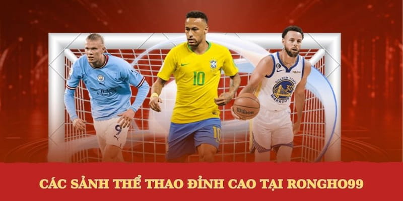Các sảnh thể thao hấp dẫn tại nền tảng Rongho99 com