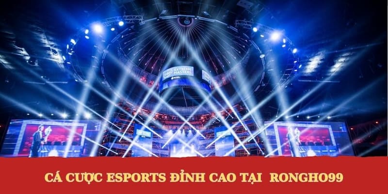 Cá cược Esports Rongho99 đỉnh cao